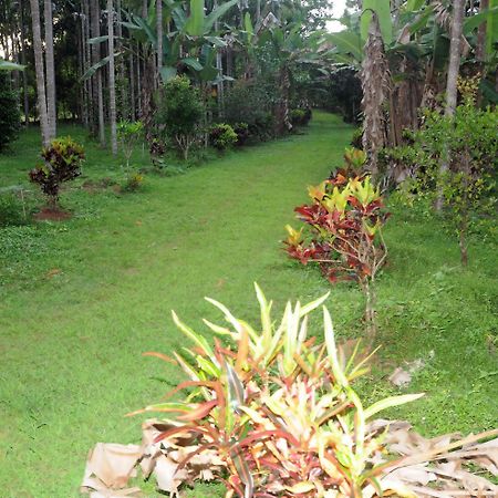 Sathwik Homestay Kumta 外观 照片