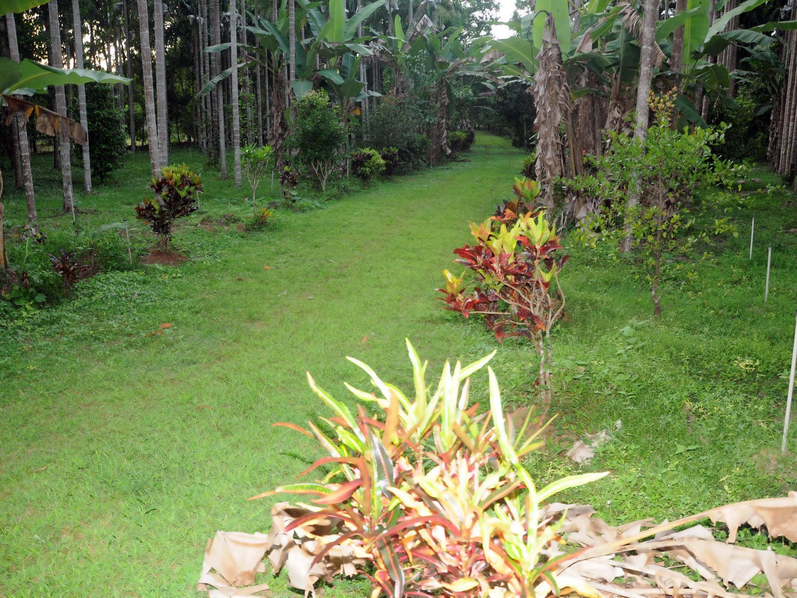 Sathwik Homestay Kumta 外观 照片